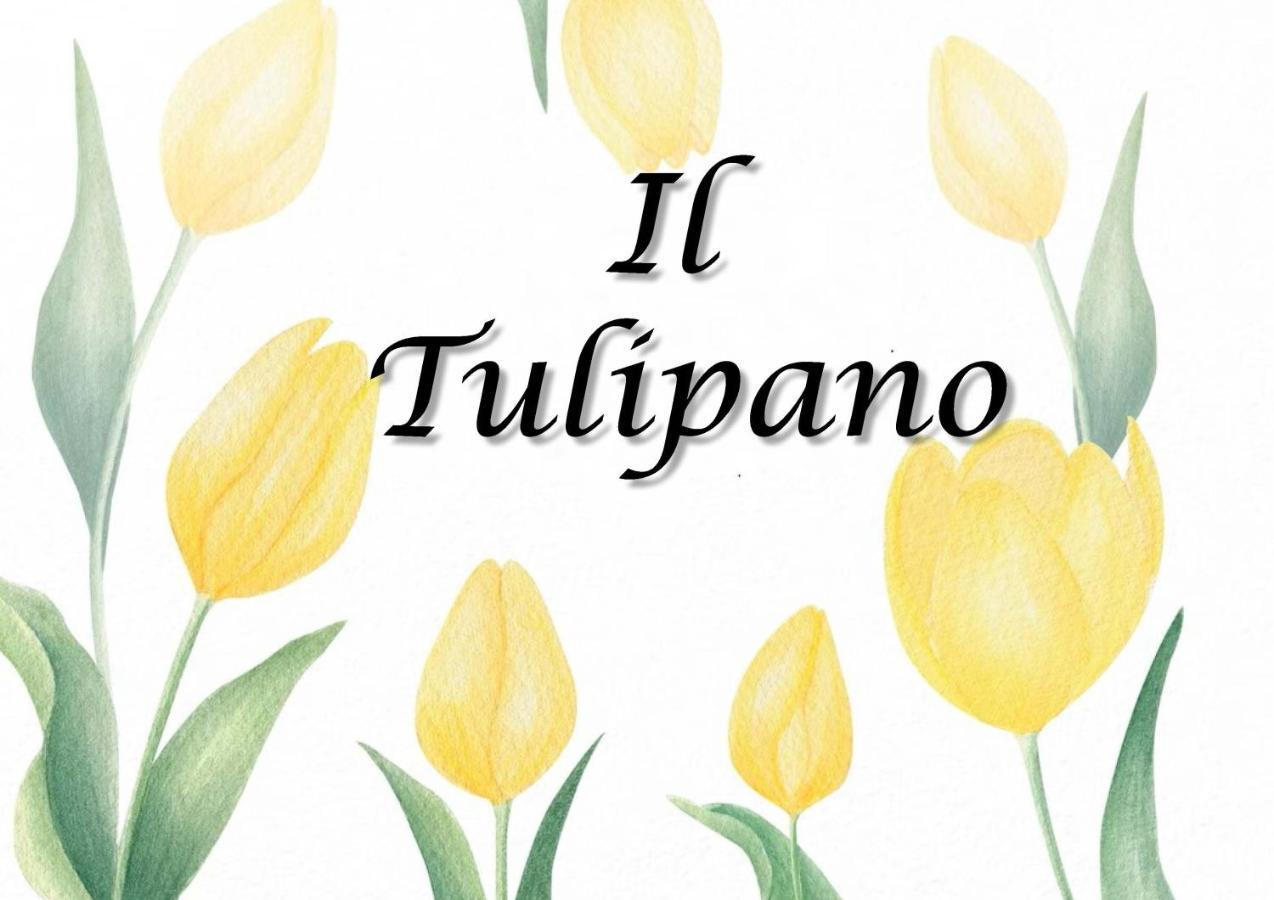 Appartamento Il Tulipano Trezzano Rosa Esterno foto